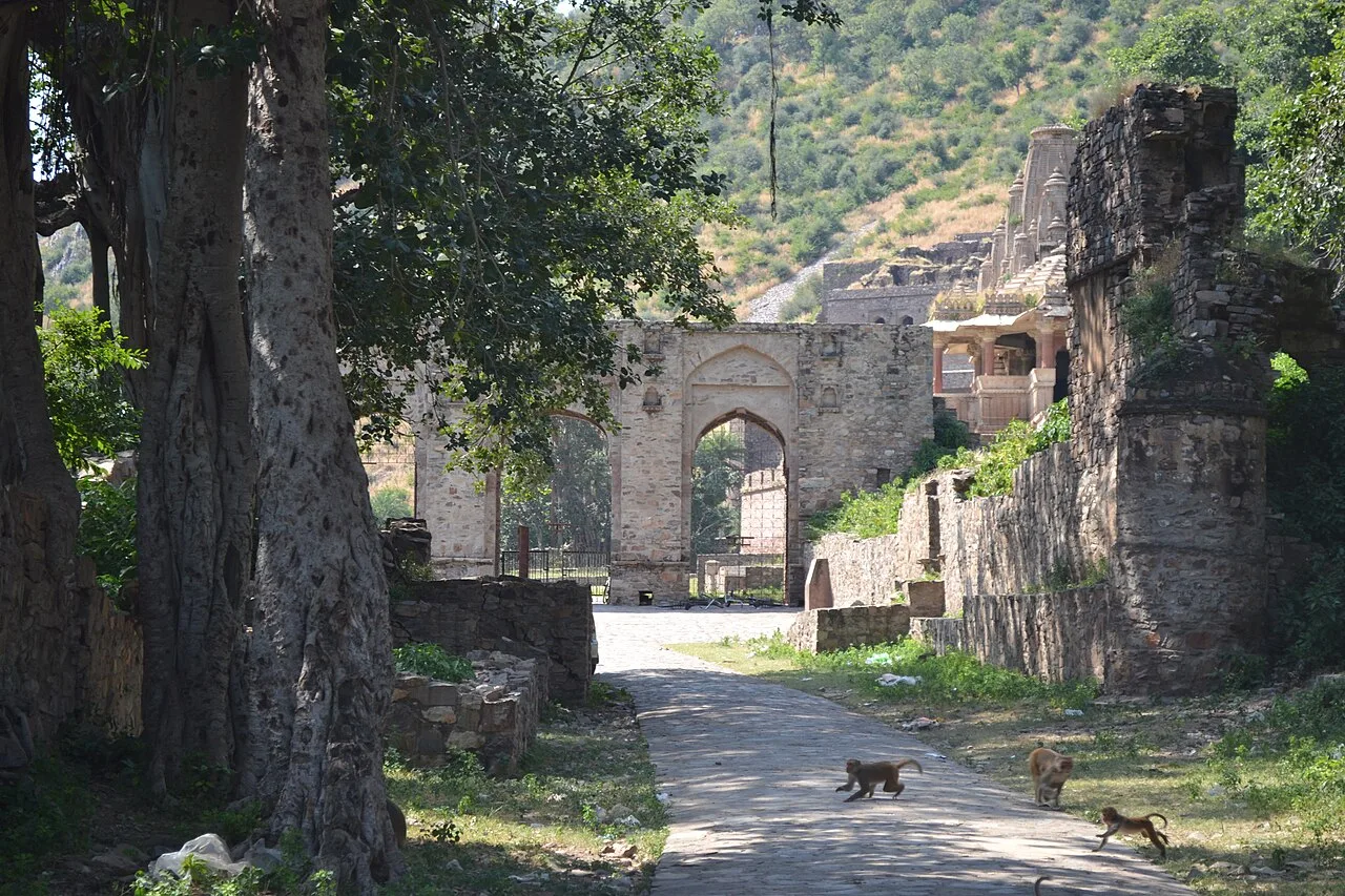 Alwar & Sariska: Tigers, Forts, Bhangarh